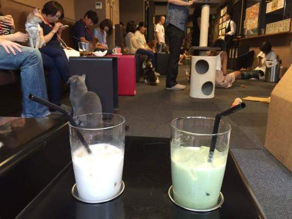 received_992531124197573